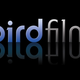 BlueBirdFilms